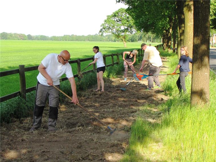Frankenbostel bei Zeven: Parkfreunde säen Blumenwiese ein Mit vereinten Kräften gingen einige Frankenbosteler ans Werk, um eine Blumenwiese anzulegen.