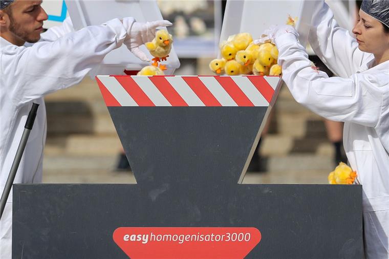 Bundesgericht: Kükentöten ist rechtmäßig Mitglieder der Tierschutzorganisation Peta protestieren vor der Urteilsverkündung mit einer symbolischen Aktion zum Kükenschreddern vor dem Bundesverwaltungsgericht.