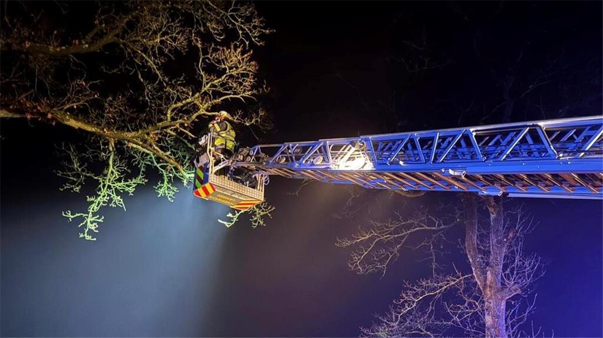 Feuerwehr rettet in Not geratene Katze in Hymendorf Einsatz der Feuerwehr der Stadt Geestland