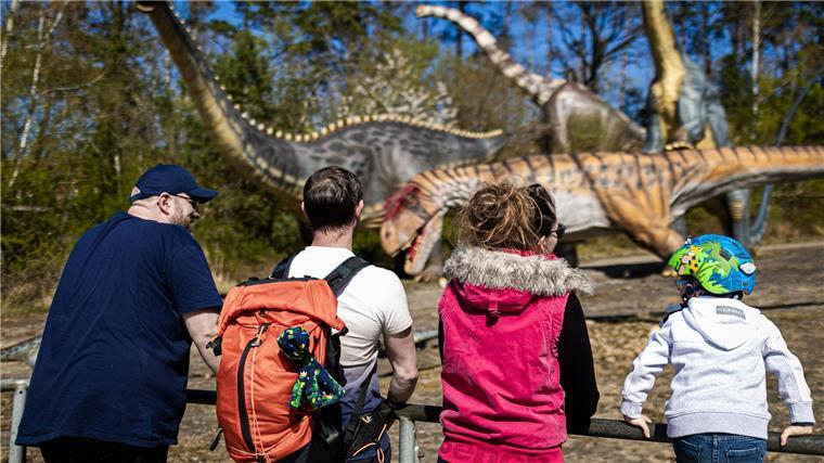 Dinopark zeigt Artenreichtum vor 140 Millionen Jahren Modelle von Dinosauriern stehen im „Dino-Park Münchehagen“.