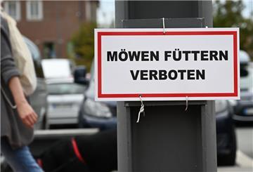 "Möwen Füttern verboten" steht auf einem Schild neben einem Restaurantschiff, das am Neuen Hafen unter anderem Fisch und Pommes verkauft. Die Möwen klauen den Gästen öfters mal Teile ihres Menüs. 