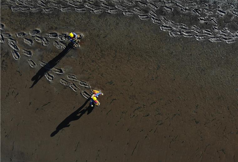 Momentan sind die Feuerwehr und die DLRG Cuxhaven oft im Wattenmeer im Einsatz: Hier bei einer Rettungsübung in der vergangenen Woche.