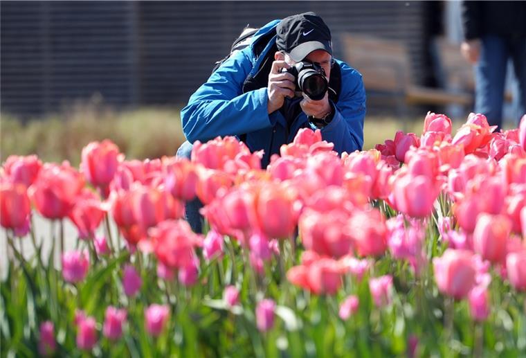 Beverstedt: Seniorenheim bietet Fotowettbewerb Motive aus der Natur sind bei dem Fotowettbewerb gefragt. Aber es dürfen auch andere Motive sein.