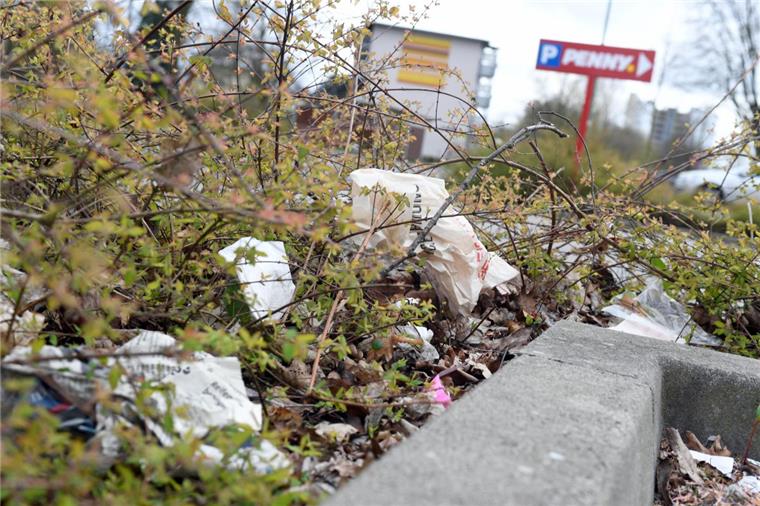 Schmuddelecken in Bremerhaven: Langzeitarbeitslose sollen's richten Müll im Park oder am Straßenrand ist ein Ärgernis. Künftig sollen Langzeitarbeitslose eingestellt werden, die sich um die Schmuddelecken kümmern werden.