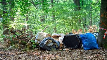 Müll liegt neben eienr Straße im Wald.