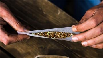 Nach Angaben der Krankenkasse KKH werden mehr Menschen wegen Cannabissucht behandelt. (Symbolbild)