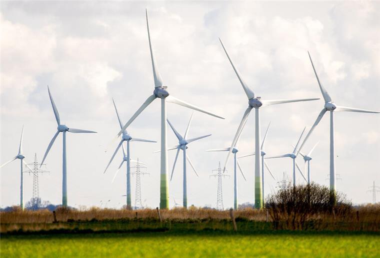 Minister will Zahl der Windräder in Niedersachsen verdoppeln Zahlreiche Windkraftanlagen stehen auf Feldern