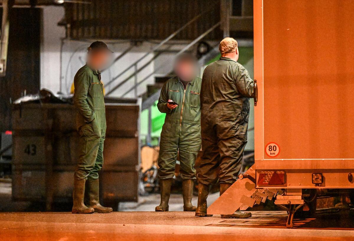 Drei Männer stehen vor einem offenen LKW.
