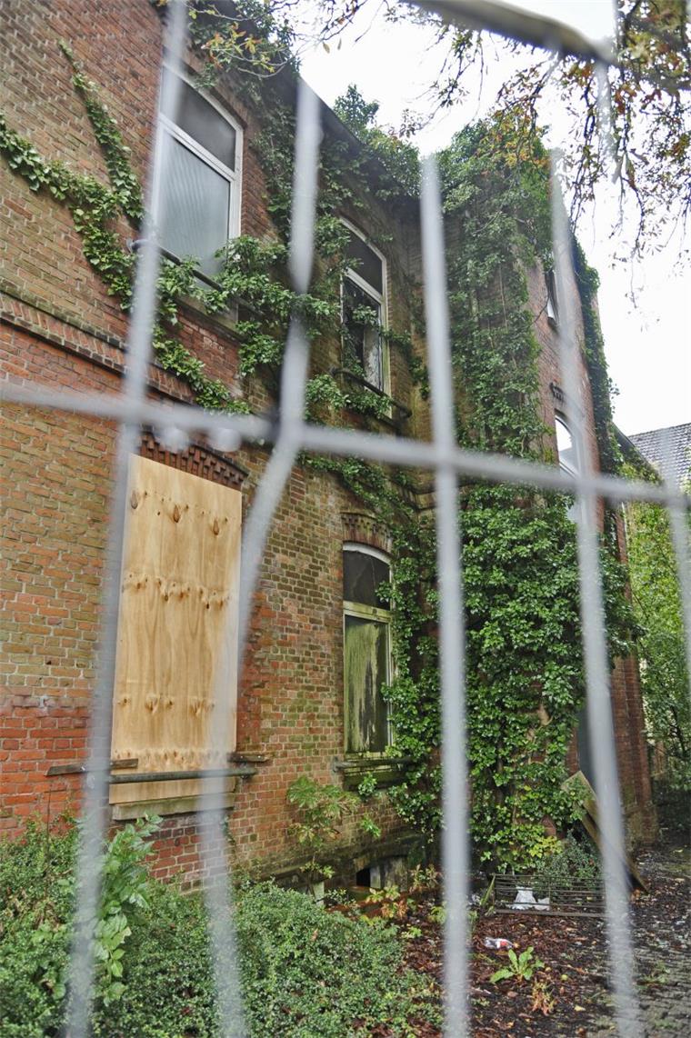 Verhindern Fledermäuse hier den Abriss? Nach dem Brand im alten Marie-von-Seggern-Heim kommt nun offenbar Bewegung in den seit langem geplanten Abriss.
