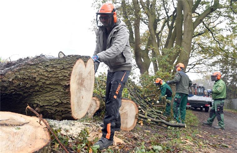 Nach Sturmtief "Herwart": Schäden in Bremerhaven schlimmer als gedacht Nach dem Sturmtief "Herwart" sind Mitarbeiter des Gartenbauamtes mit den Aufräumarbeiten in Bremerhaven beschäftigt.