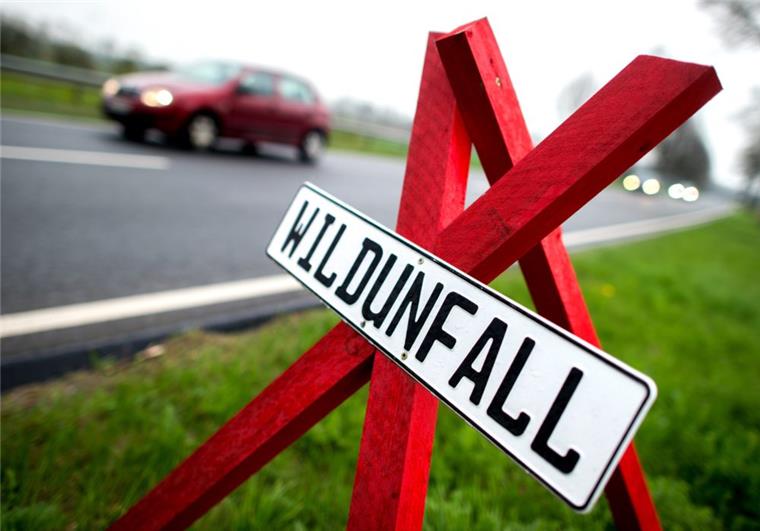 Bremerhaven: Autofahrer fährt Reh tot und flüchtet Nach einem Unfall mit einem Reh am Samstagabend in Bremerhaven ist der Fahrer geflüchtet. Die Polizei sucht nun Zeugen.