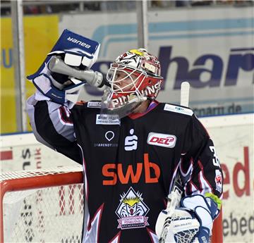 Pinguins in Wolfsburg