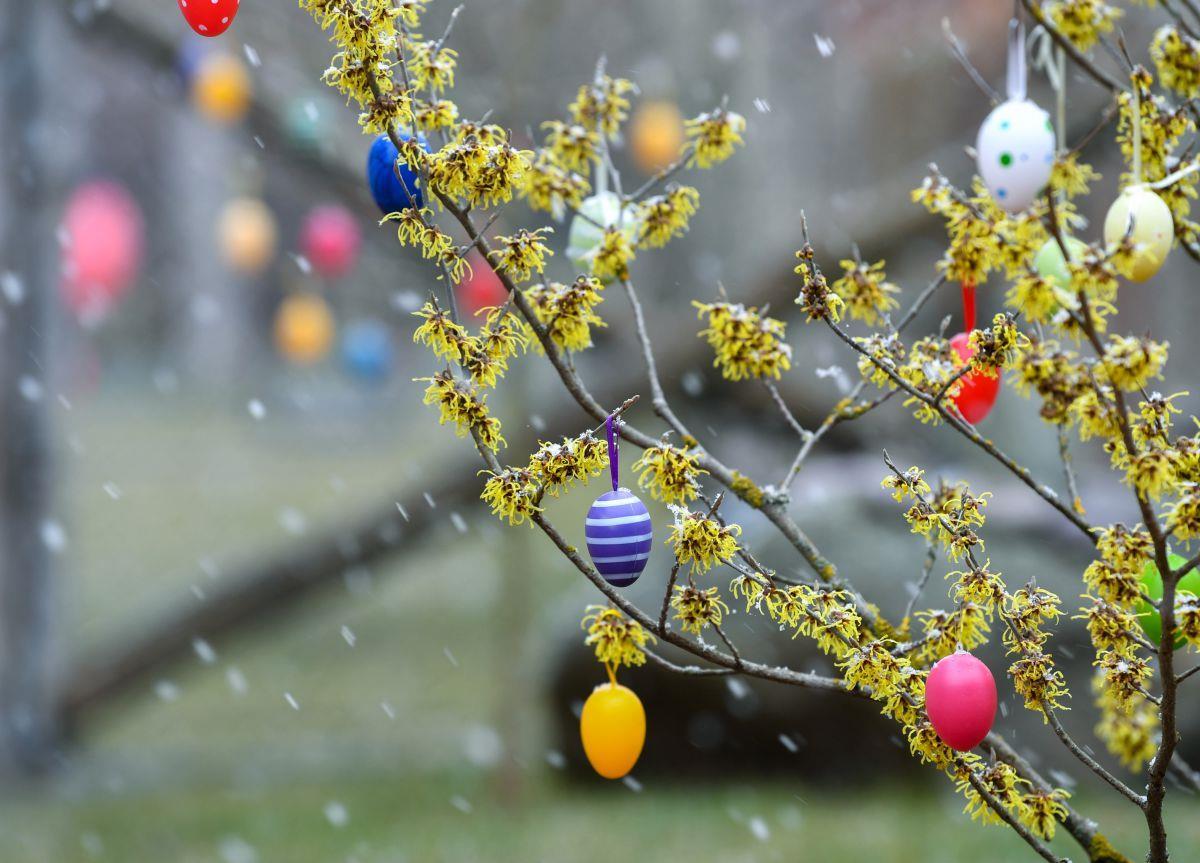 Nach kalten Osterfeiertage mit Schneeregen soll bald der Frühling kommen, sagen die Meteorologen.