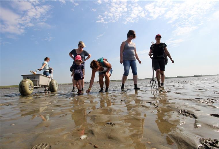 Kommunen treten der Biosphärenregion Wattenmeer bei Personen laufen durch das Wattenmeer.
