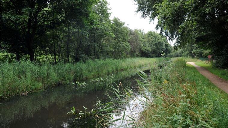 Polizei sucht Zeugen: Unbekannte kippen Farbe in Bremerhavener Regenwasserkanal Das Foto zeigt den Fluss Neue Aue in Bremerhaven. Nachdem Unbekannte weiße Farbe in den Regenwasserkanal geleitet haben, ermittelt die Polizei in Speckenbüttel wegen einer auffälligen Verschmutzung der Neuen Aue.