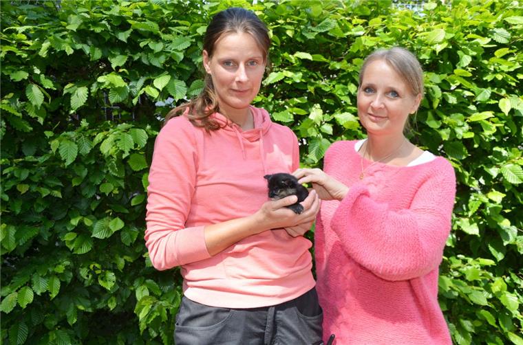 Nadine Bruns (links) und Amelie Bensch vom Tierschutzverein Bremerhaven raten dringend davon ab, fremde Katzen, die wohlgenährt und gepflegt aussehen, zu füttern.