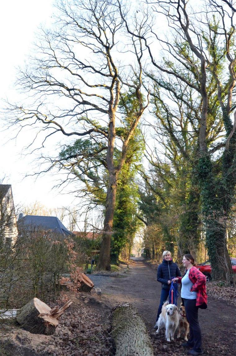 Anwohner geschockt: Bäume in Loxstedt werden gefällt Nathalie Shellong (rechts) und eine Bekannte die ihren Namen nicht in der Zeitung lesen möchte sind entsetzt darüber das am Forstweg in Hahnenknoop alle auf der Häuserseite stehenden Bäume gefällt werden sollen.