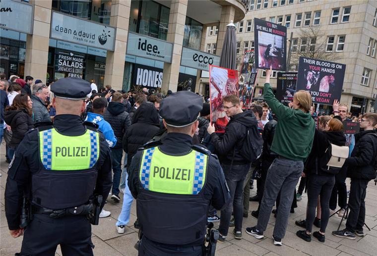 YouTuber „Holle21614“ eröffnet Dönerladen: Mega-Schlange und Veganer-Protest Neben einer langen Schlange an Döner-Fans, die den 1-Cent-Döner probieren wollten, versammelten sich auch einige Protestierende vor der Europa-Passage.