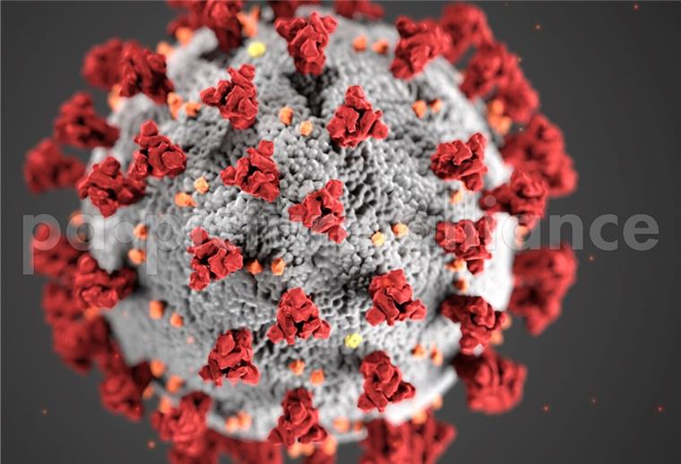 Bremerhaven: Weitere Corona-Fälle im Elisabeth-Haus Diese Illustration, die in den Centers for Disease Control and Prevention (CDC) erstellt wurde, zeigt die ultrastrukturelle Morphologie, die Coronaviren aufweisen.