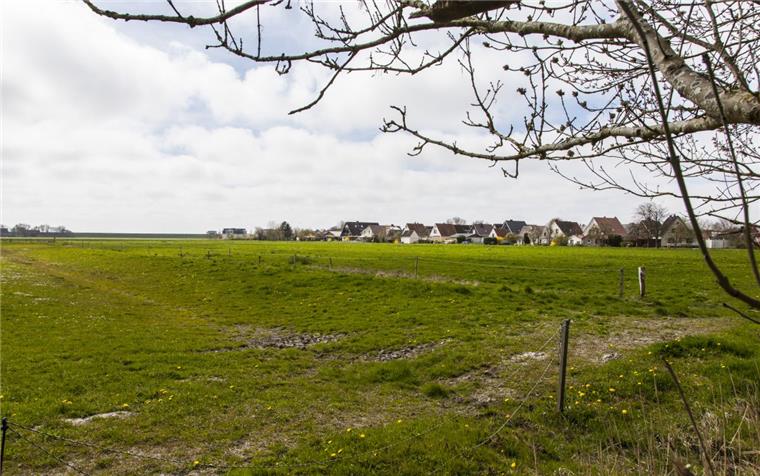 So plant der Investor ein Baugebiet in Wremen Neues Baugebiet in Wremen: Auf einer landwirtschaftlichen Fläche südlich der Strandstraße in Wremen könnten demnächst Ein- und Mehrfamilienhäuser entstehen.