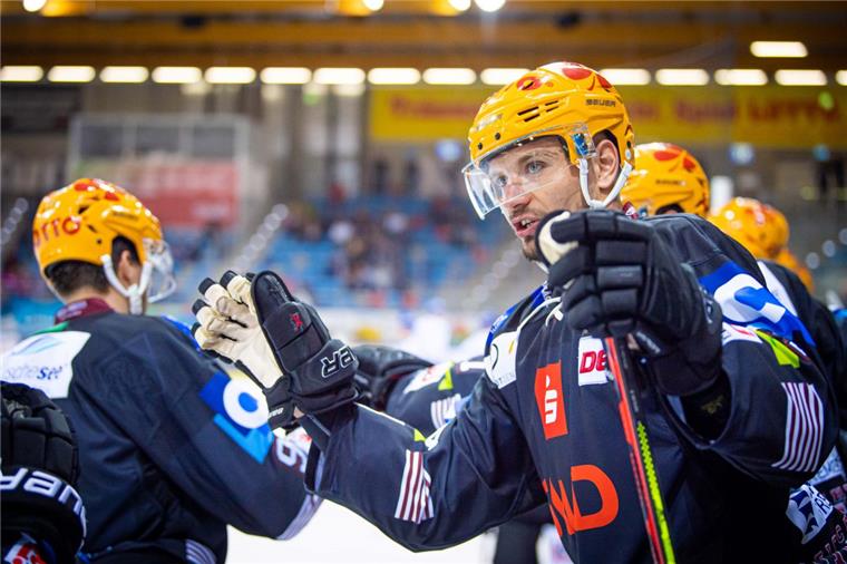 Fischtown Pinguins hoffen auf erneuten Playoff-Einzug Neuzugang Tomas Sykora und seine Kollegen von den Fischtown Pinguins starten in Düsseldorf in die neue DEL-Saison.