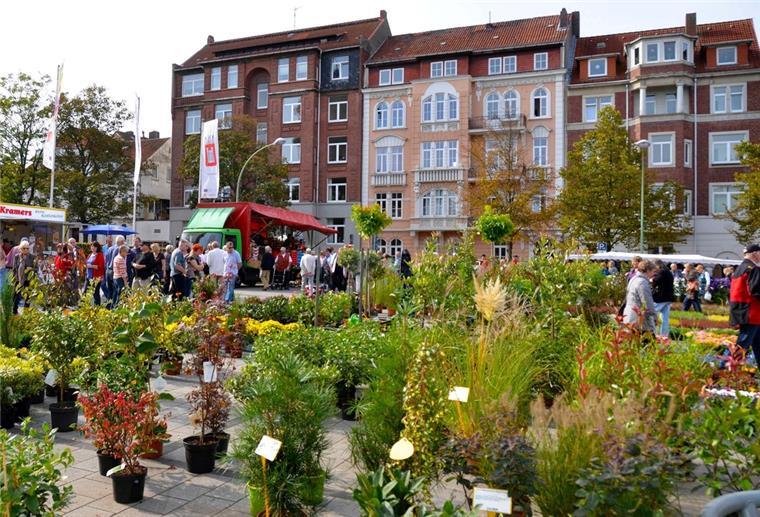 Geestemünder Herbstfest: Busse werden umgeleitet Pflanzen auf dem Geestemünder Herbstfest.