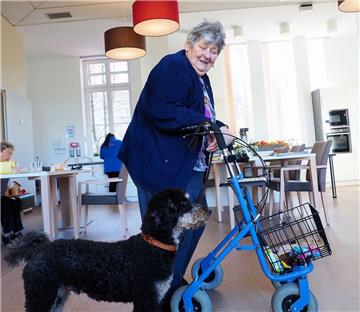 Nicht nur für Tagespflegegast Erika Gehrke ist Pudel Floyd stets ein freundlicher und gern gesehener Begleiter. 