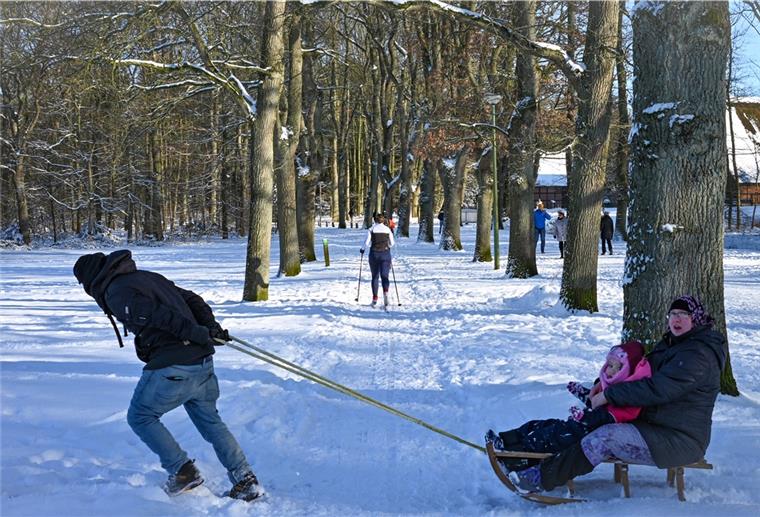 Schnee und Sonne sorgen für Winterspaß in der Region Nicht nur im Speckenbütteler Park in Bremerhaven wurde fleißig gerodelt.