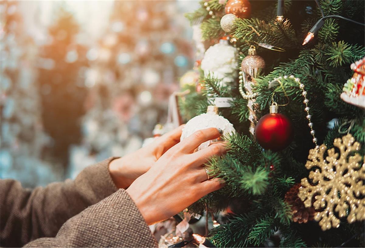 Bremerhaven: BEG holt Tannenbäume ab Frau hängt Weihnachtskugeln an einen Tannenbaum.