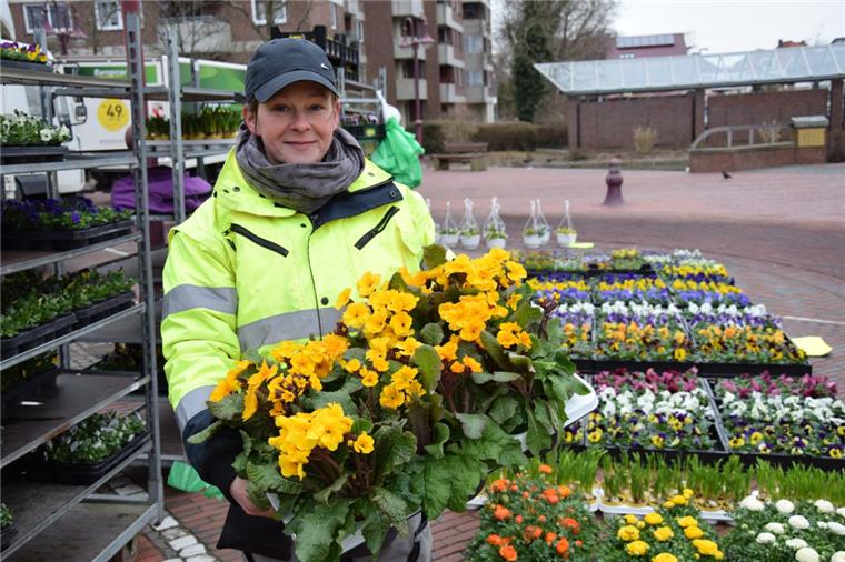 Auf dem Nordenhamer Wochenmarkt wird es langsam wieder bunt Nicht vom letzten Frost abschrecken lassen: Einige Frühlingsblumen wie die Schlüsselblume können bereits in Kübel gepflanzt werden, sagt Cornelia Neumann von der Gärtnerei Pargmann.