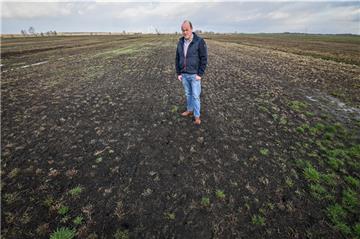 Nichts als schwarz: Landwirt Carl Becken auf seiner Wiesen, die von den Mäusen zerstört wurde.