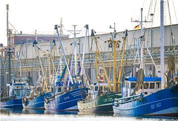 07.03.2025, Niedersachsen, Cuxhaven: Krabbenkutter liegen im Hafen. Im ostfriesischen Neuharlingersiel findet am gleichen Tag die Jahreshauptversammlung des Verbandes der Kleinen Hochsee- und Küstenfischerei statt. Angesichts rückläufiger Fangmengen und gekürzter Fördergelder forderten die Fischer zuletzt eine stärkere finanzielle Unterstützung. Foto: Sina Schuldt/dpa +++ dpa-Bildfunk +++