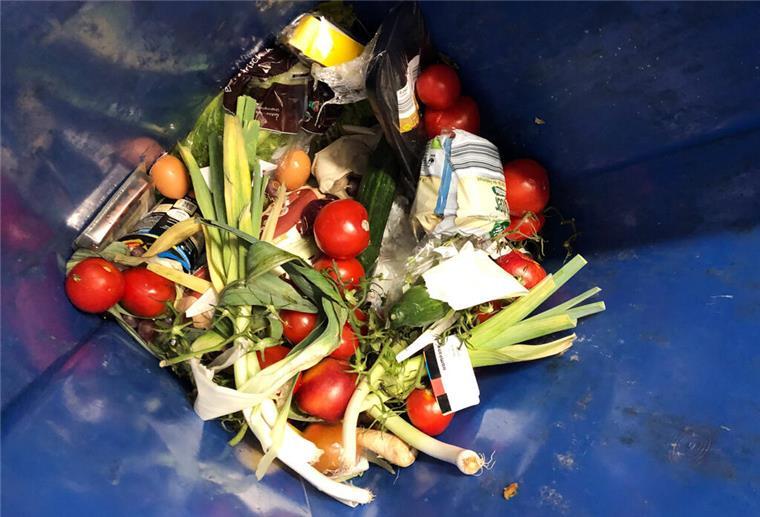 Weggeschmissene Lebensmittel liegen in einer Mülltonne