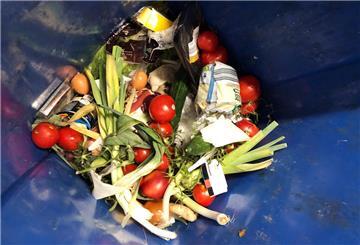 Weggeschmissene Lebensmittel liegen in einer Mülltonne