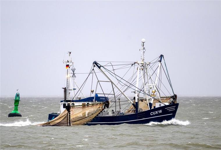 Cuxhavener bei Kutterdemo während Agrarministerkonferenz dabei Ein Kutter fischt nach Krabben.