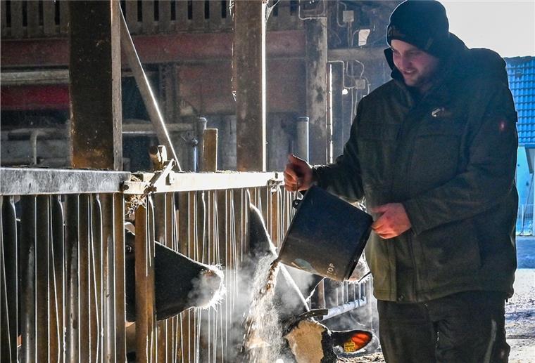 Futter und Dünger werden Luxusgüter Mann im Kuhstall