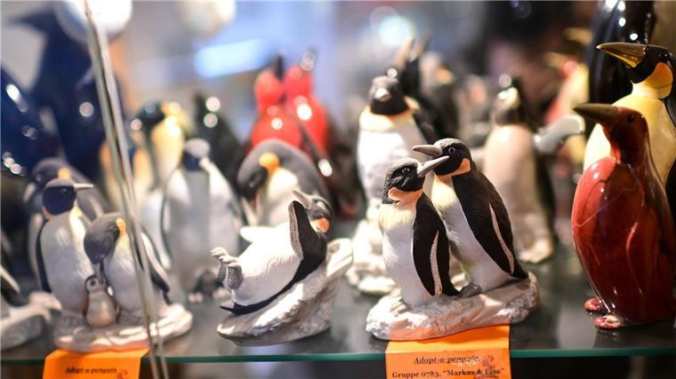 Noch bis Anfang November sind die Pinguine zu sehen.