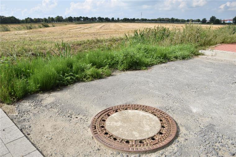 Siedlungsgesellschaft plant in Nordenham neues Baugebiet Noch endet die Käthe-Kollwitz-Straße, die durch den Wohnpark Tongern verläuft, an ihrem westlichen Ende im Nirgendwo. Doch das könnte sich in naher Zukunft ändern: Die GNSG will zwischen Wohnpark und Butjadinger Zu- und Entwässerungskanal Baugrund schaffen.