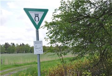 Noch herrscht am östlichen Ende der Lindenallee ein Leinenzwang, doch in einer kleinen Ecke des Landschaftsschutzgebiets will die Stadt eine Hundewiese anlegen.