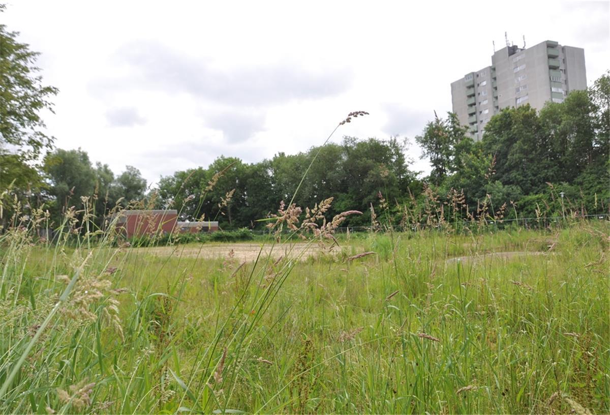 Noch herrscht hier Wildnis. Auf dem freigeräumten Grundstück am Jägerhof soll das Haven-Hospiz gebaut werden.