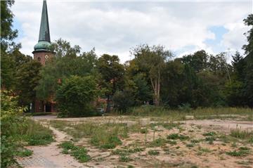 Noch ist alles ruhig auf dem Gelände der ehemaligen chemischen Reinigung. Nächste Woche ändert sich das, dann rücken die Bagger an. Sie holen die krebserregenden Chlorkohlenwasserstoffe, die in hoher Konzentration im Boden lagern, aus der Erde.