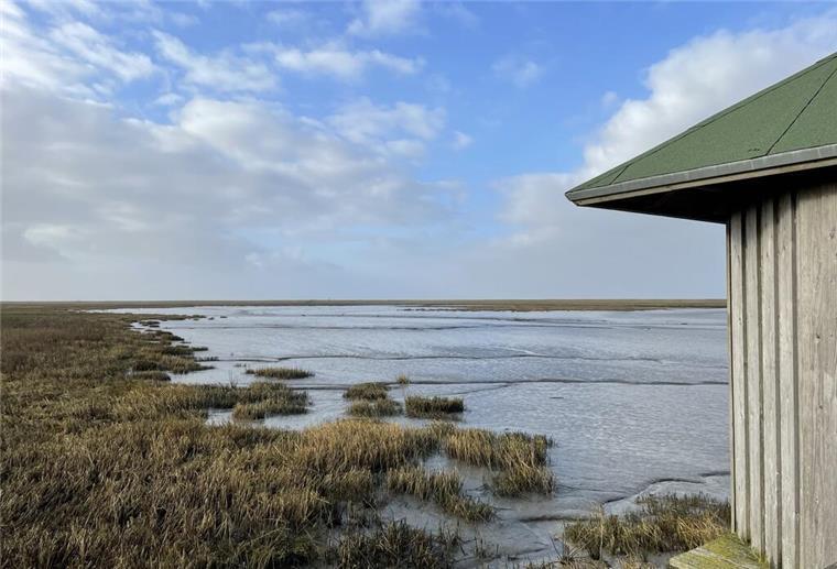 Langwarder Groden kämpft um den Titel „Naturwunder 2024“ – Jede Stimme zählt! Vogelbeobachtungshütte auf dem Langwarder Groden in Butjadingen.