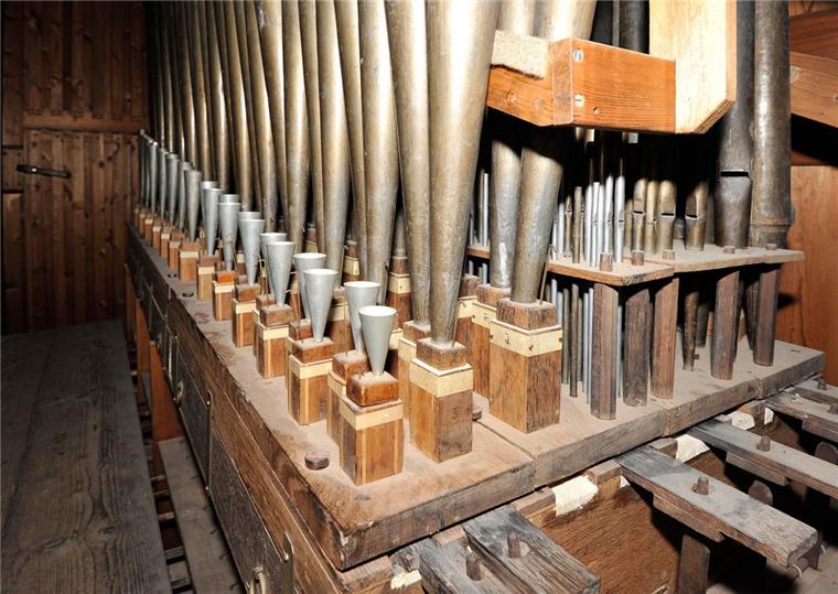 Wertvolle Schnitger-Orgel in Cappel von Schimmel bedroht Noch ist die Arp Schnitger Orgel in der Cappeler Kirche schimmelfrei. Durch hohe Luftfeuchtigkeit und Staub könnte aber der gefürchtete Schimmelpilz auch in das Innere des kostbaren Instrumentes gelangen.