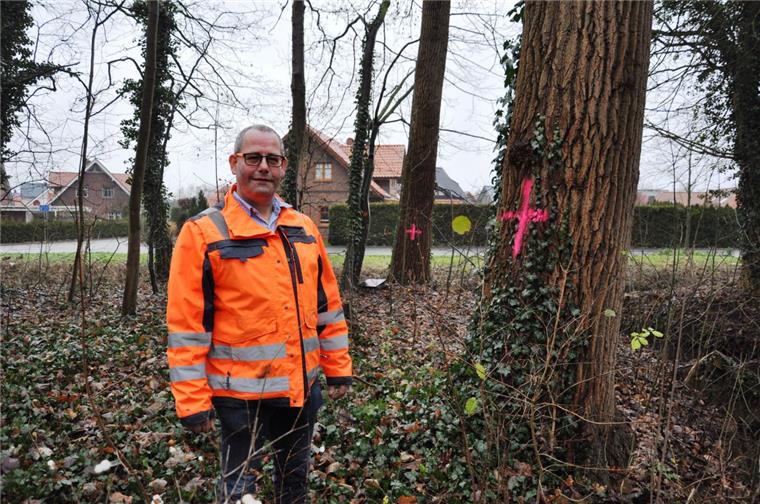 Die Stadt Nordenham lässt den Friedeburgpark umgestalten Nordenhams Bauhofchef Rainer Stoffers vor zwei rot markierten Pappeln, die gefällt werden.,