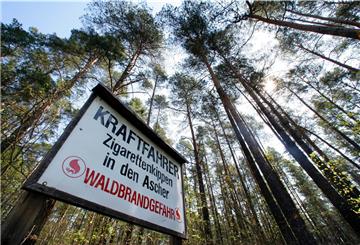 Nur keine Zigaretten wegwerfen: Der Wald ist knochentrocken. Auch im Cuxland.