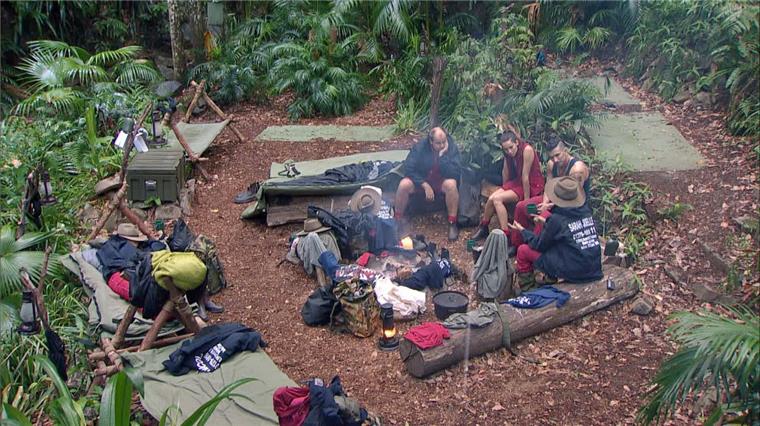 Feldforschung im Dschungelcamp: Welcher Dschungel-Typ wärst du? Nur zugucken und ekeln ist doch langweilig. Nach ein paar Tagen betreibt jeder anständige Zuschauer im Dschungelcamp Feldforschung.