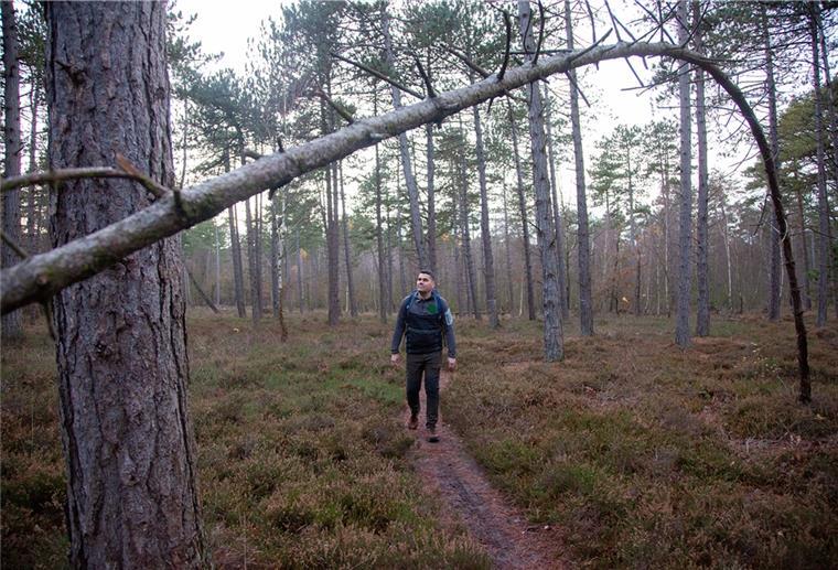 Ein Pädagoge für den Wald: Peter Itjen Ob mit Waldfans oder alleine: Peter Itjen kann vom Wernerwald in Cuxhaven-Sahlenburg nicht genug bekommen.