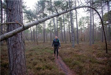 Ob mit Waldfans oder alleine: Peter Itjen kann vom Wernerwald in Cuxhaven-Sahlenburg nicht genug bekommen.