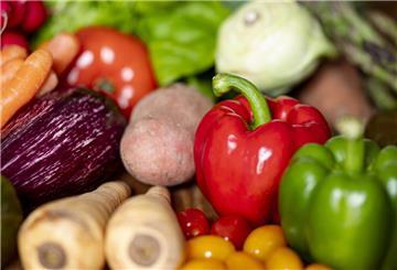 Obst und Gemüse, Hülsenfrüchte, Eier, Fisch, Getreide, Milchprodukte und pflanzliche Alternativen zu Milchprodukten sollen günstiger werden, wenn es nach Hamburgs Verbraucherschutzsenatorin Gallina geht.