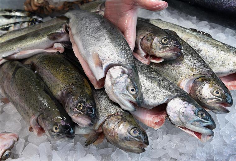 Fischvorräte aus Deutschland sind schon jetzt alle aufgegessen Forellen